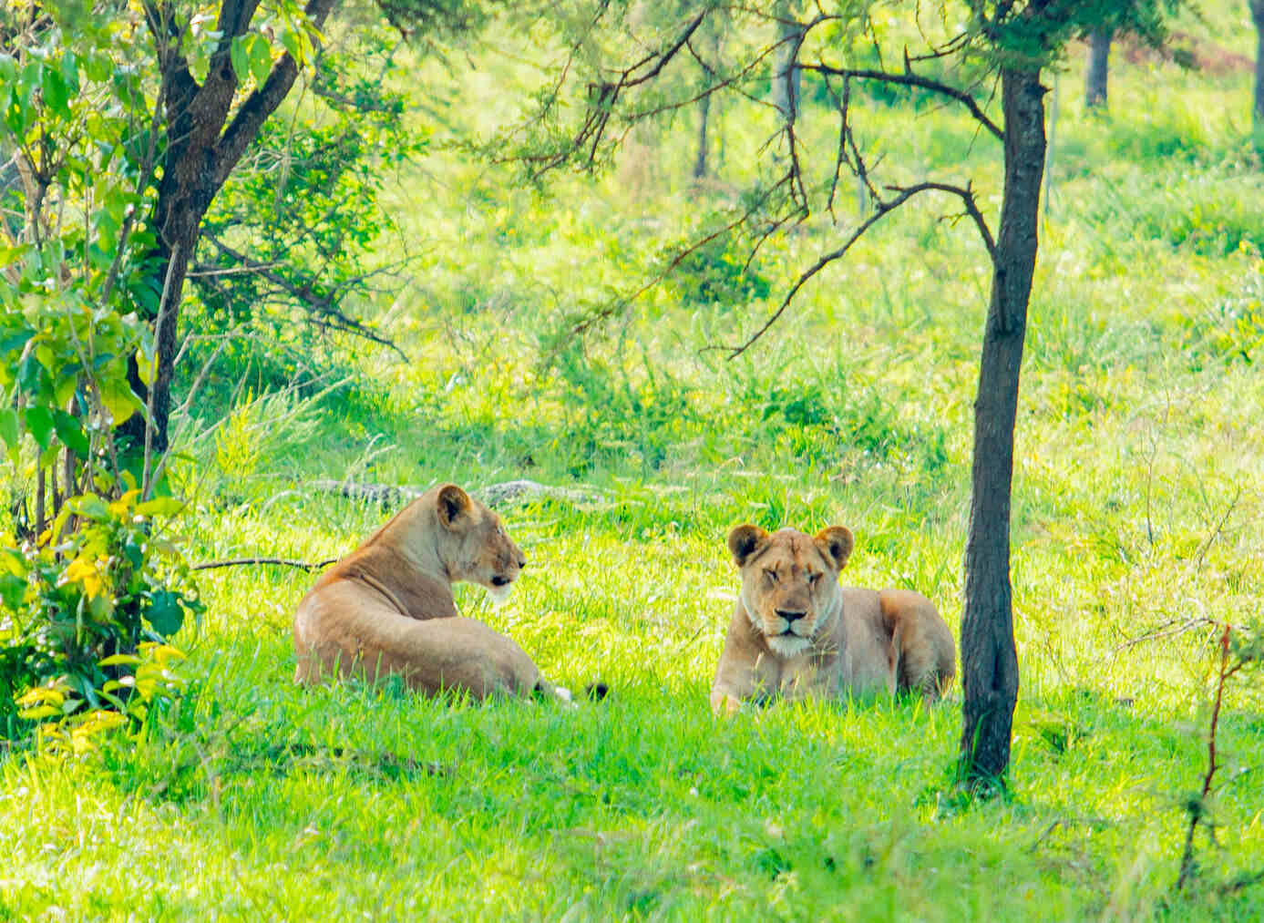 GNS_79.jpg_optimized_200